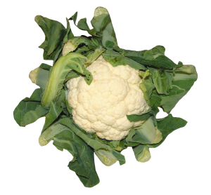 Cauliflower PNG-12677